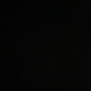 Meet your Posher, Donald